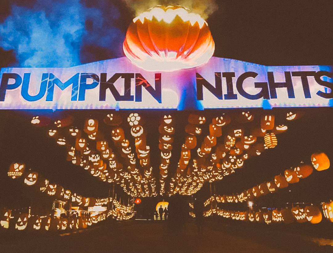 Journey through 3,000 glowing pumpkins at Pumpkin Nights in Dallas