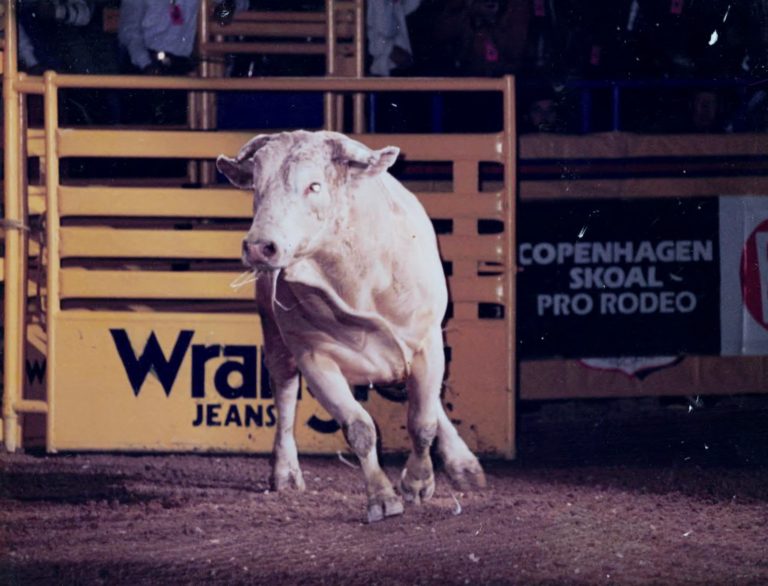 THE BEST AND THAT’S NO BULL: Bodacious receives Brand of Honor Award ...