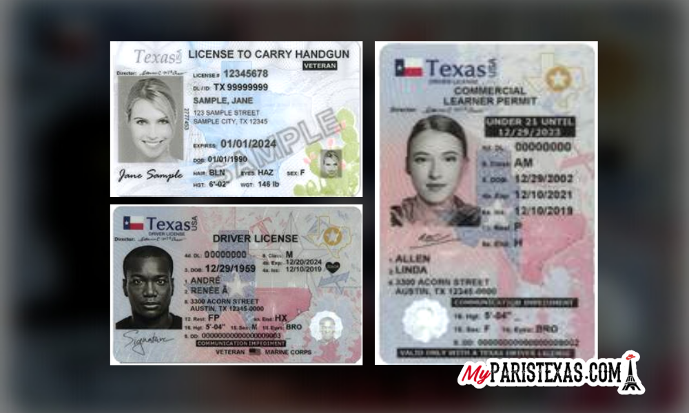 texas drivers license audit number temporary id