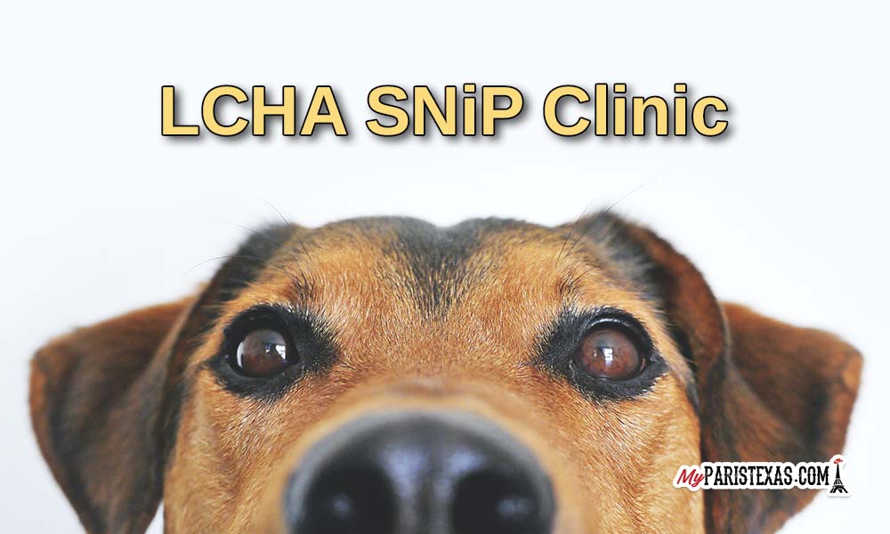 LCHA SNiP Clinic