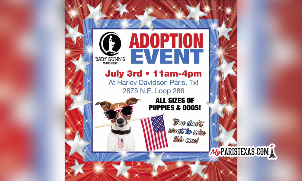 Baby Gunn's Animal Rescue sets adoption event for this Saturday -  MyParisTexas